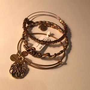 Alex and Ani 3 rafaelian gold path of life , stars and live bracelet set
